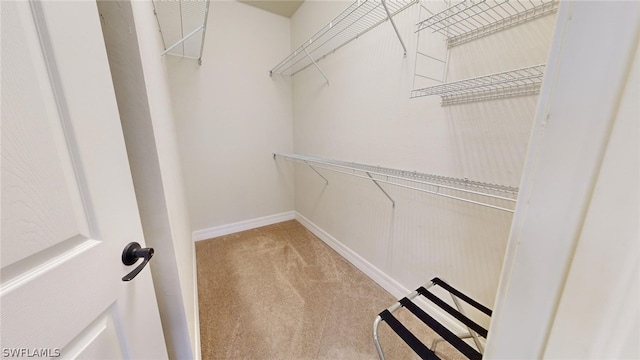 spacious closet with light colored carpet