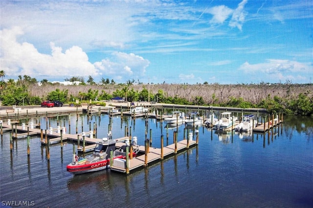 dock area featuring a water view