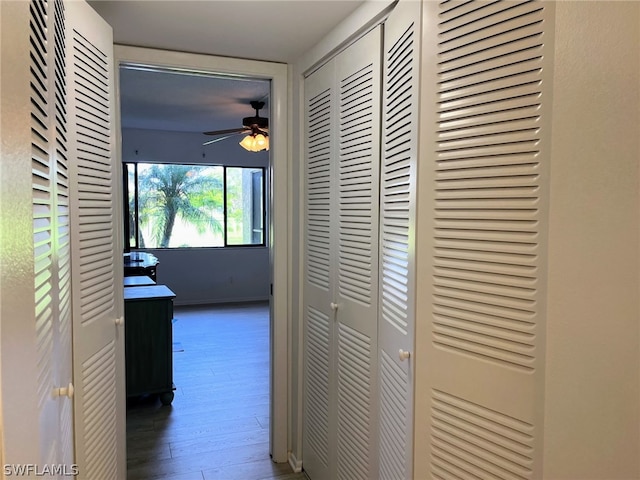 hallway featuring dark wood-type flooring