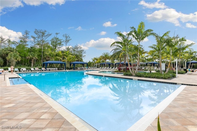 view of pool with a patio