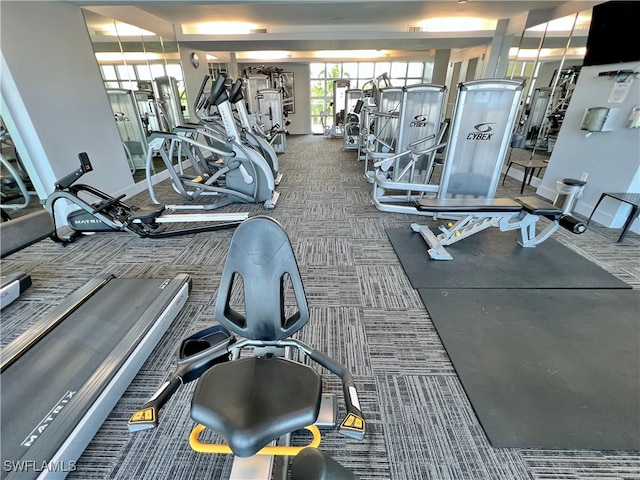 gym featuring carpet flooring