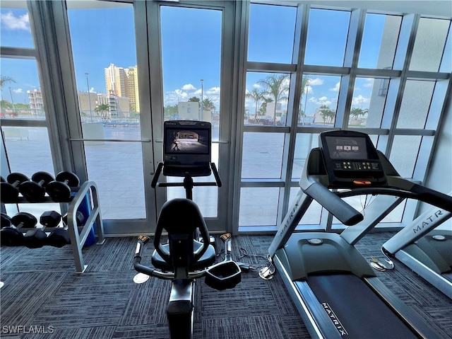 workout area featuring a wealth of natural light and dark colored carpet