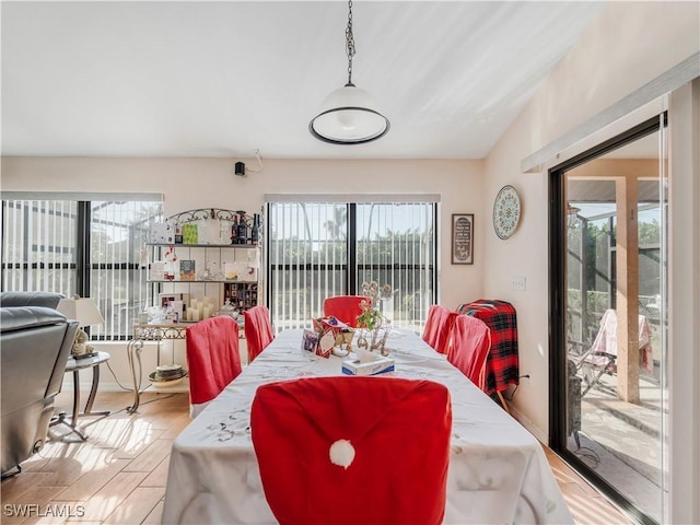 dining room featuring a wealth of natural light