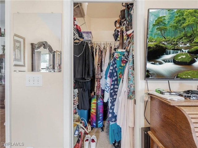 view of spacious closet