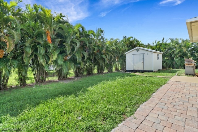 view of yard featuring a storage unit