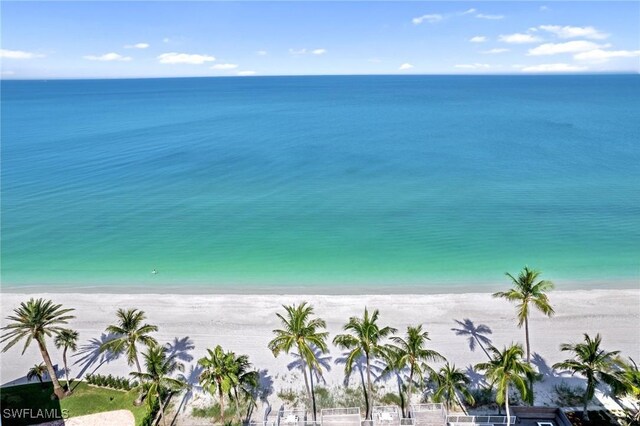 view of water feature featuring a beach view