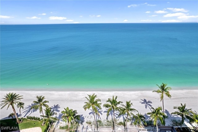 property view of water featuring a view of the beach