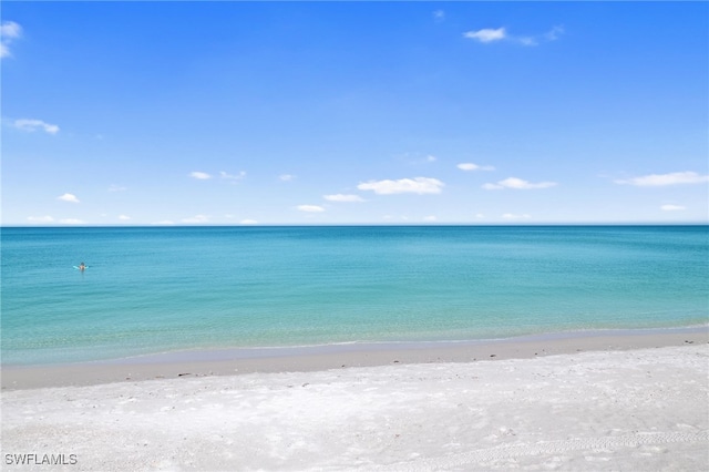 water view featuring a beach view