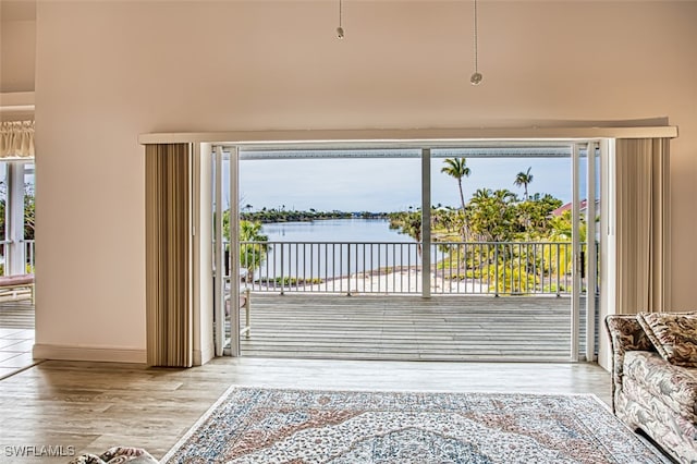 doorway to outside featuring a water view, plenty of natural light, and light wood-type flooring