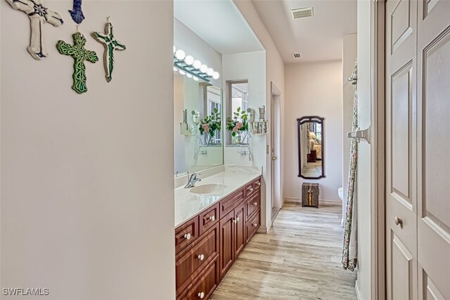 bathroom with hardwood / wood-style flooring and vanity