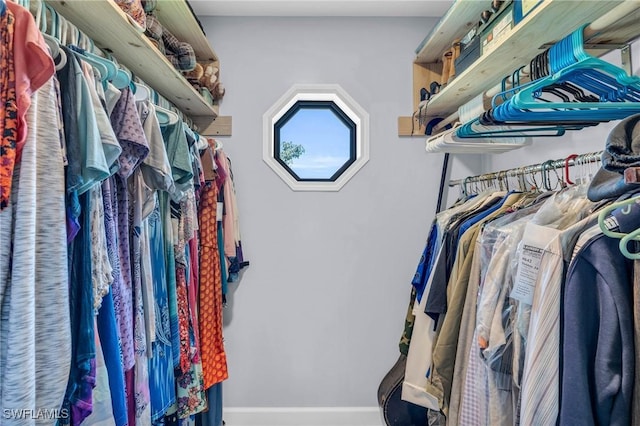 view of spacious closet