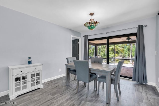 dining room with light hardwood / wood-style flooring