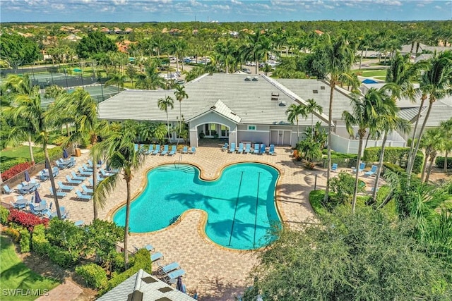 view of swimming pool with a patio area