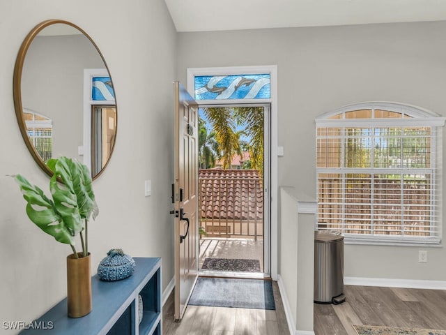 doorway to outside featuring wood-type flooring