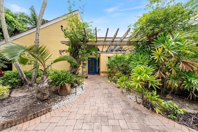 property entrance featuring stucco siding and a pergola