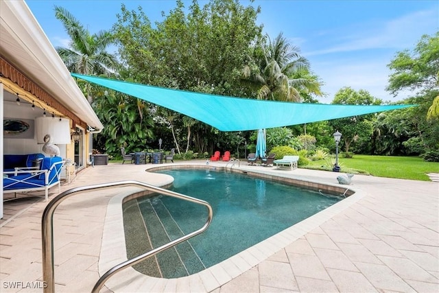 view of swimming pool with a patio area