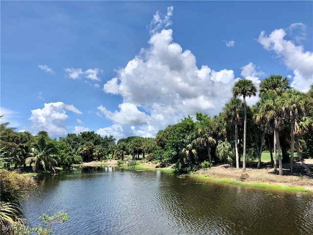 property view of water