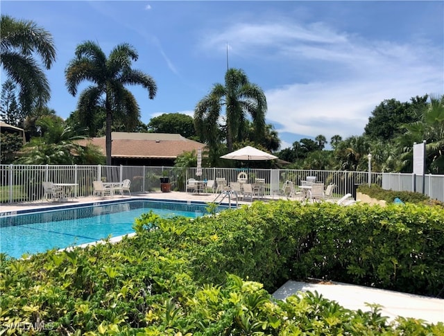 view of swimming pool