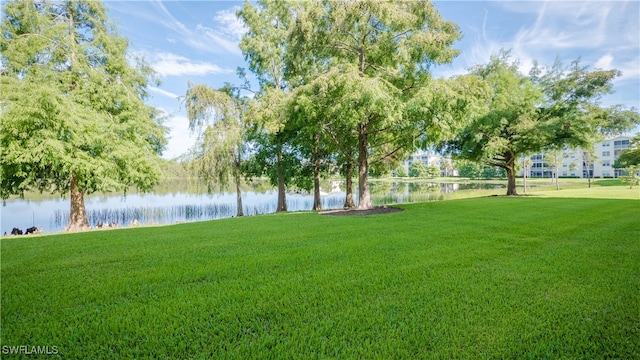 view of yard with a water view