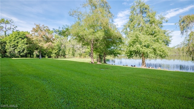 view of yard featuring a water view