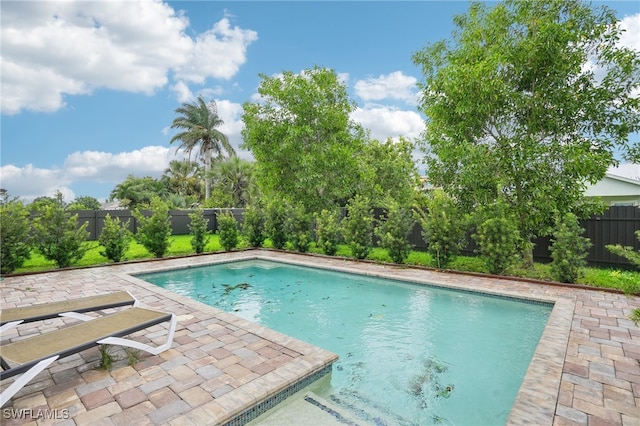 view of pool with a patio