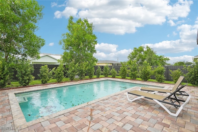 view of pool featuring a patio