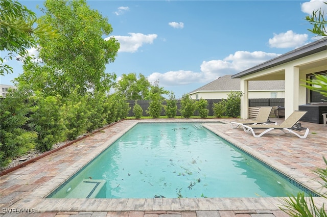 view of pool featuring a patio area