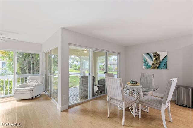 dining room featuring plenty of natural light, ceiling fan, and light wood-type flooring