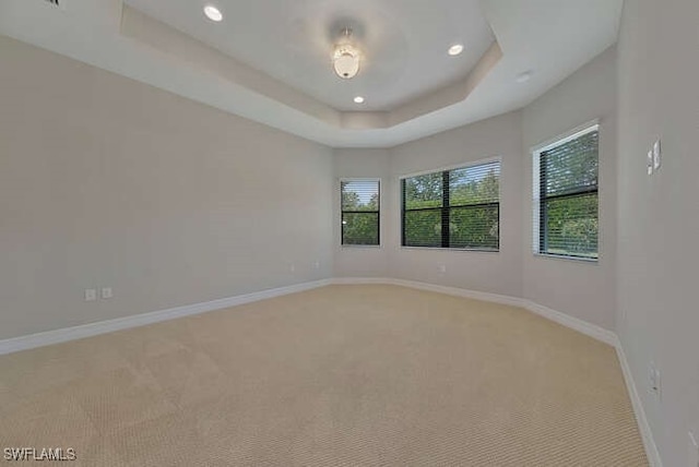 spare room featuring light carpet and a tray ceiling