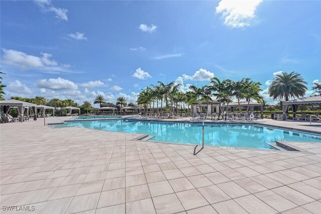 view of pool featuring a patio