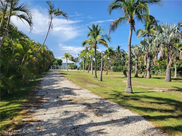 view of street