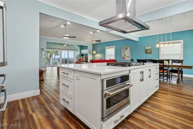 kitchen with ceiling fan, dark hardwood / wood-style floors, stainless steel appliances, decorative light fixtures, and island range hood