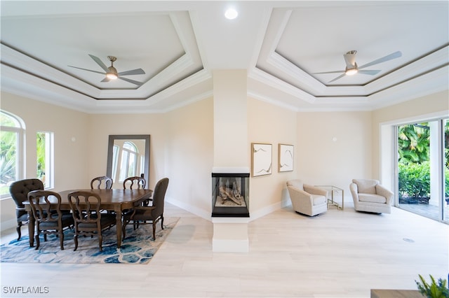 dining room featuring crown molding, a healthy amount of sunlight, ceiling fan, and a raised ceiling