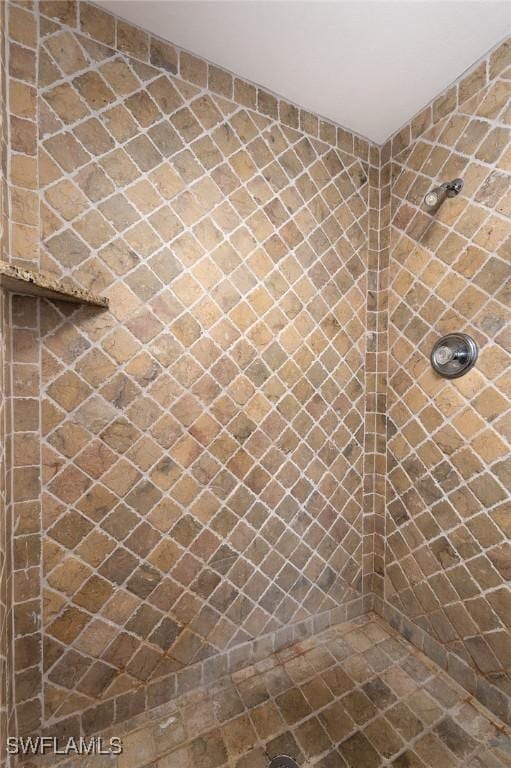 interior space with tiled shower