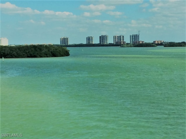 view of water feature