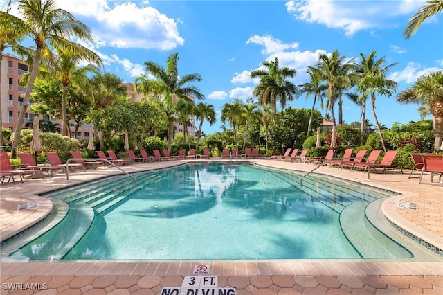 view of swimming pool featuring a patio