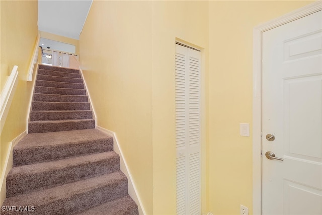 staircase featuring carpet