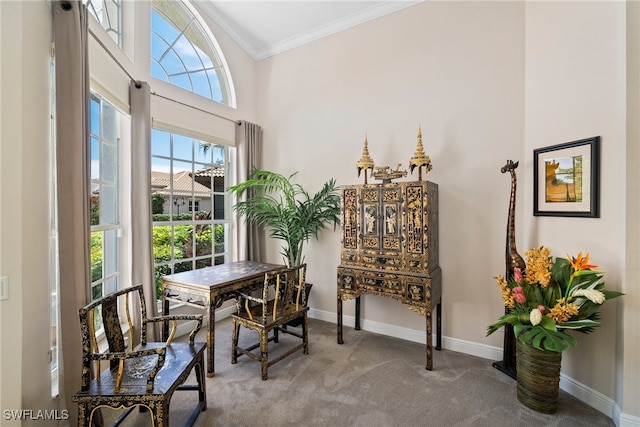 living area with crown molding, carpet floors, and a high ceiling