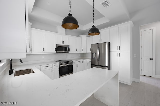 kitchen featuring a raised ceiling, pendant lighting, stainless steel appliances, light stone counters, and sink