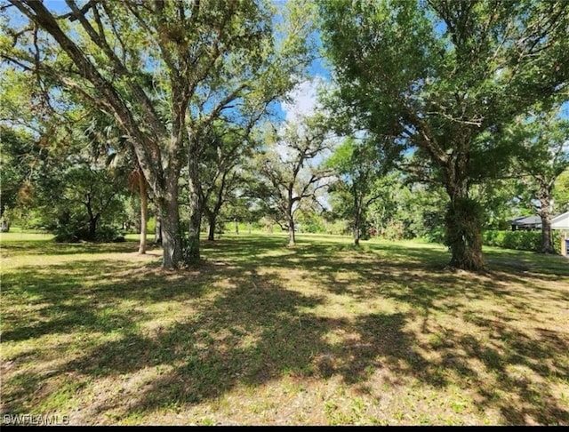 648 Turtle Ln, Labelle FL, 33935 land for sale