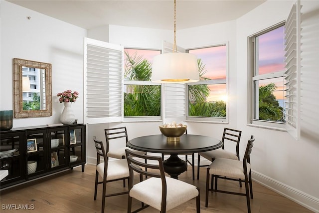 dining space featuring hardwood / wood-style flooring