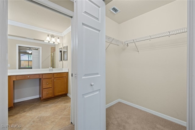 bathroom with a walk in closet, crown molding, visible vents, vanity, and baseboards