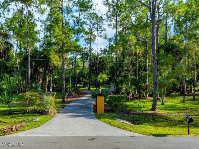 view of property's community with a lawn