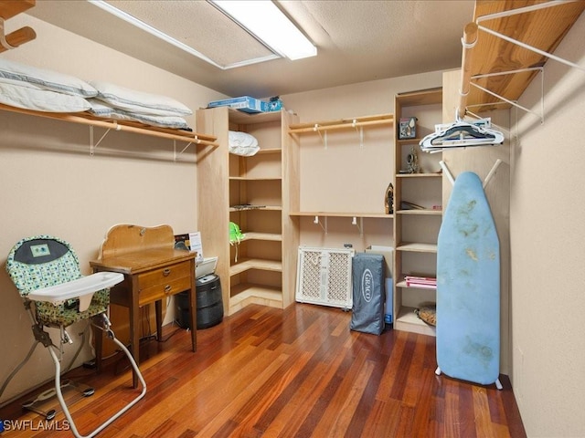 spacious closet featuring wood finished floors