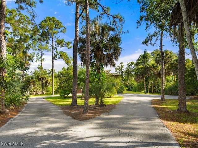 view of community featuring driveway