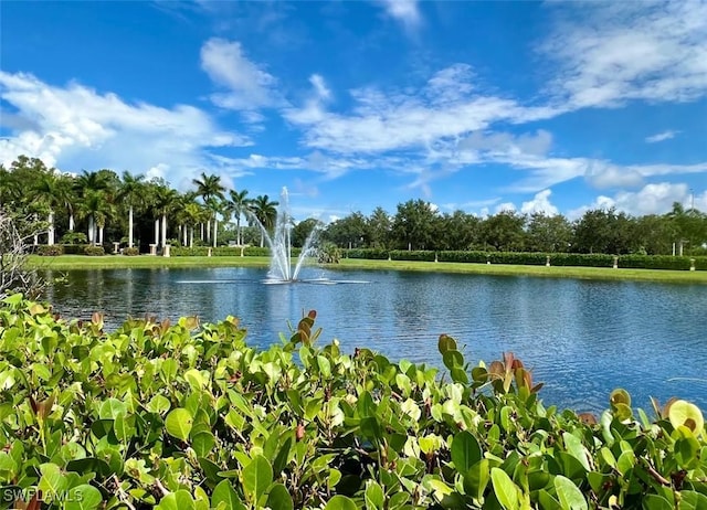 view of water feature