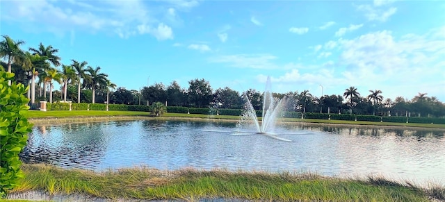 view of water feature