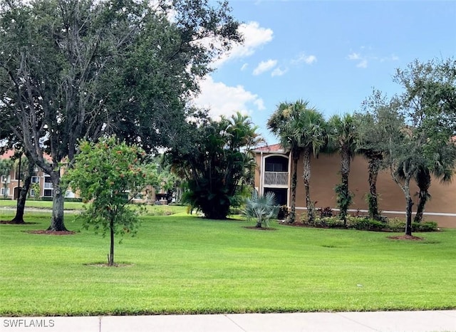 view of home's community with a lawn