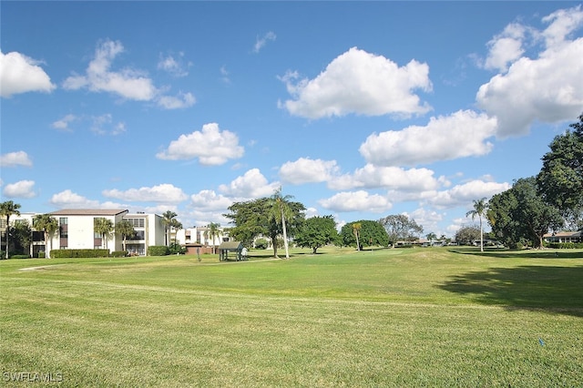 view of community with a lawn