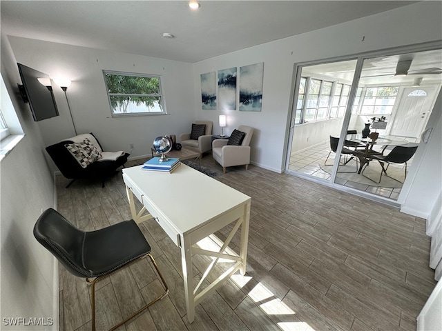 living room featuring wood-type flooring and plenty of natural light